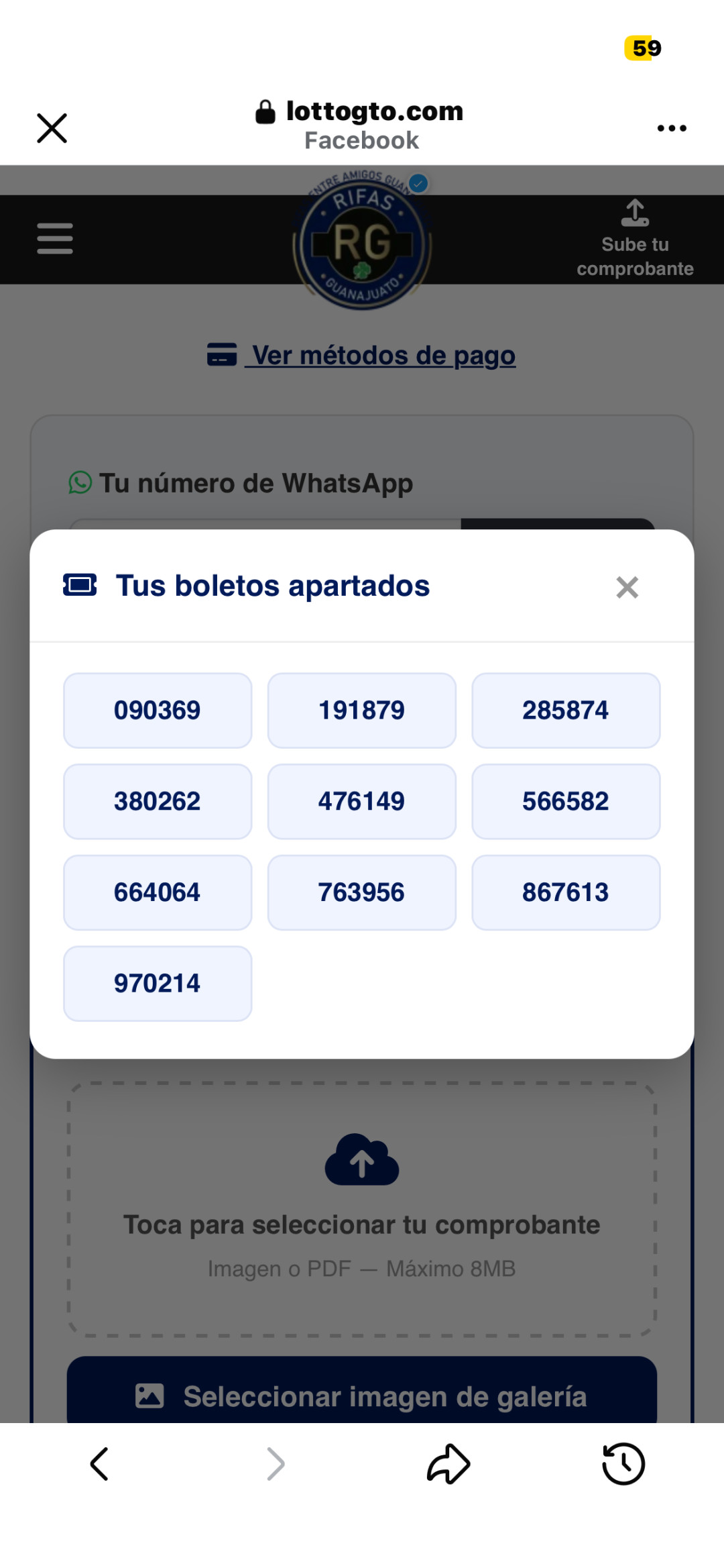 proof_49551_1777567409_47edeb9f.jpg